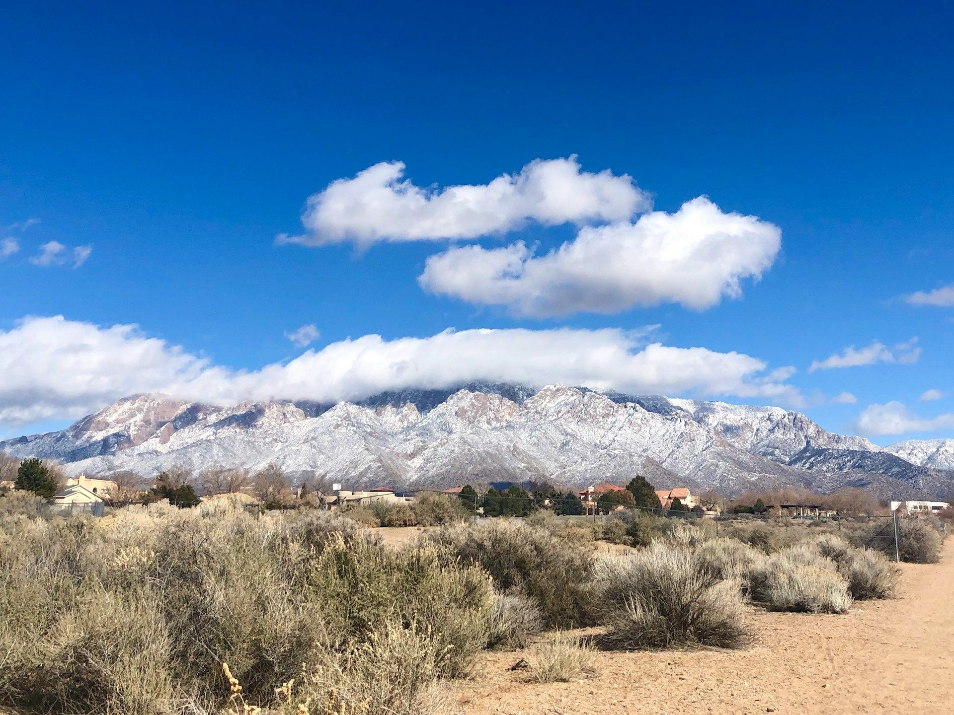 Brown and white mountains in Albuquerque NM