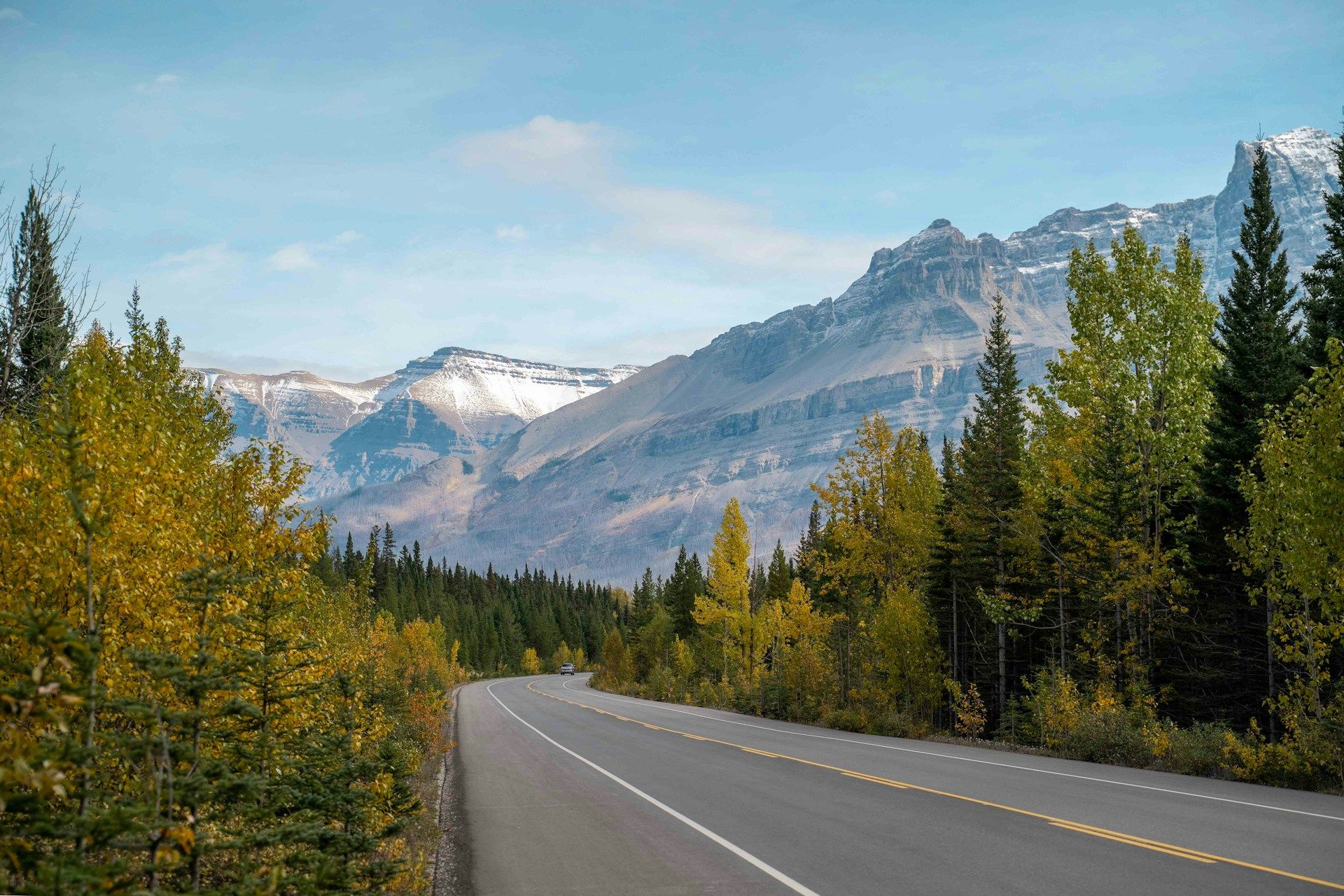 Road through trees in Banff AB