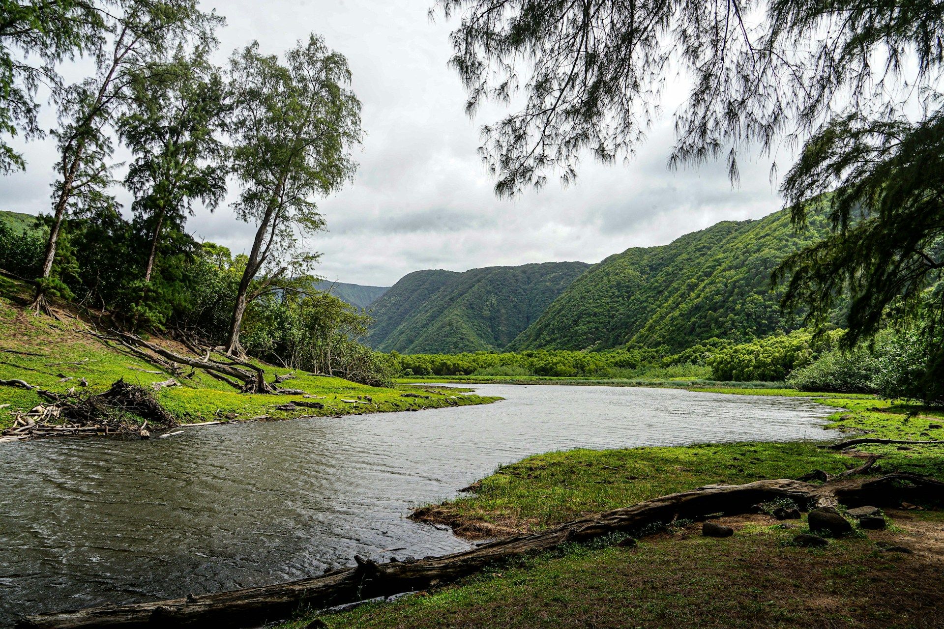 River with trees in Big Island HI
