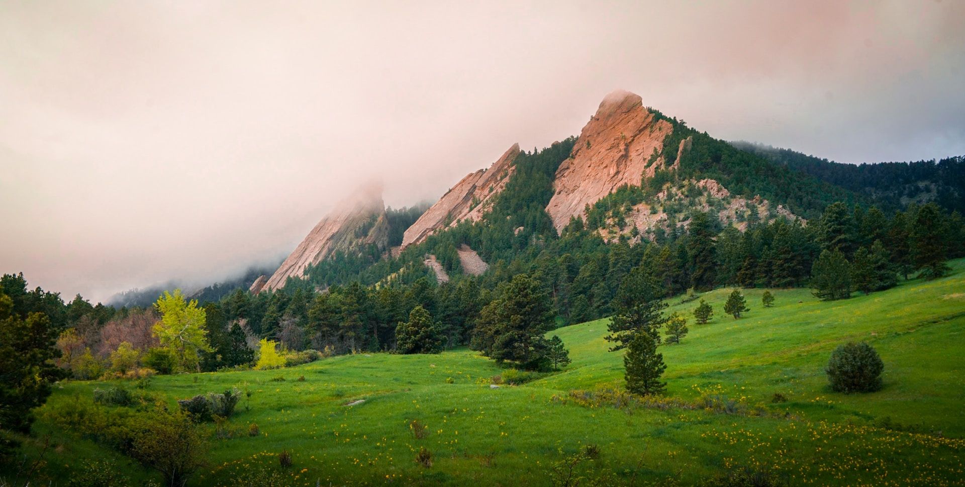 Green grass field in Boulder CO