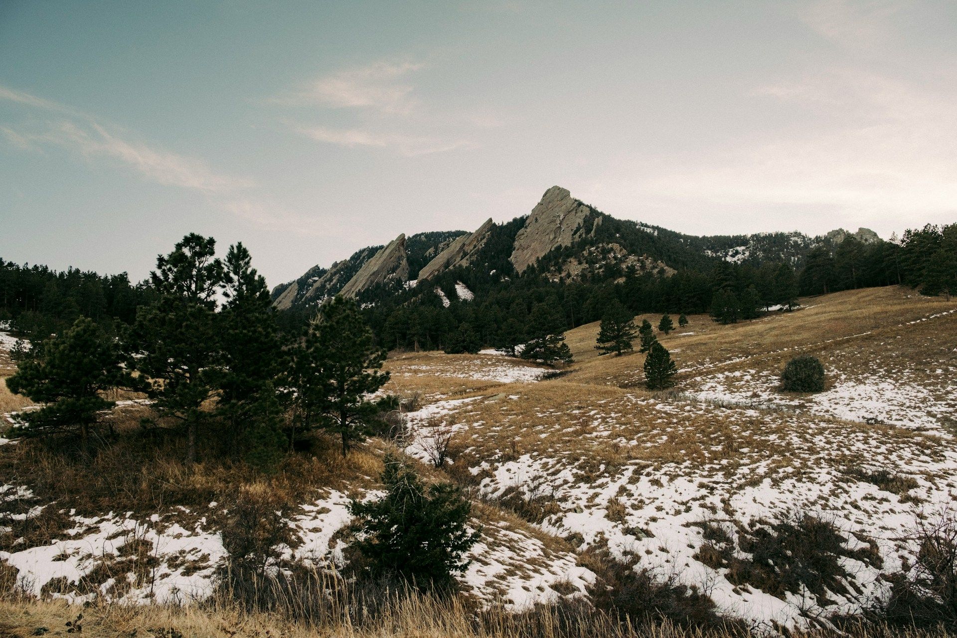 Grassy field with snow in Boulder CO