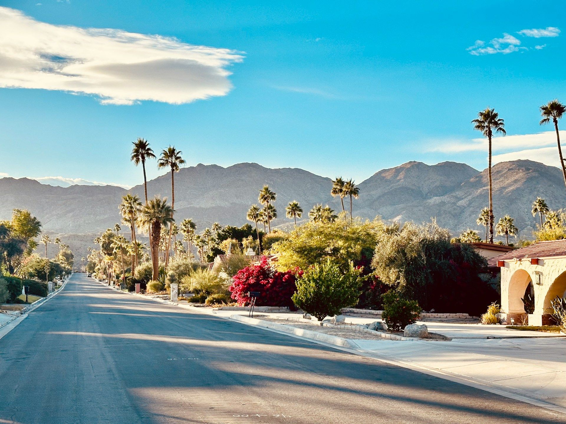 Palm tree street in Coachella CA