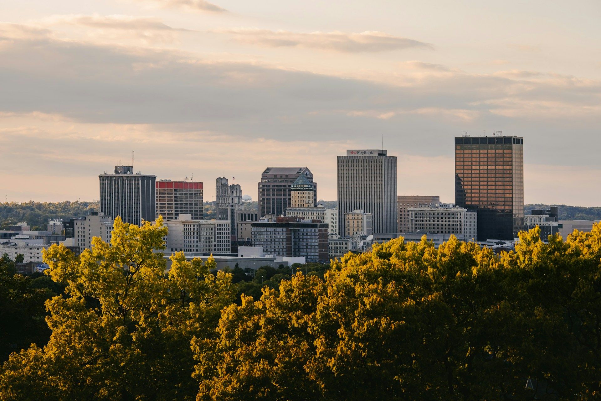 Green trees near city buildings Dayton OH