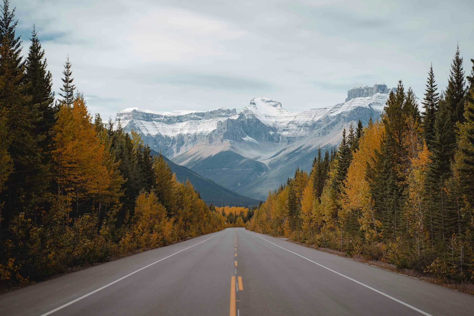 Forest road in Grande Prairie, AB