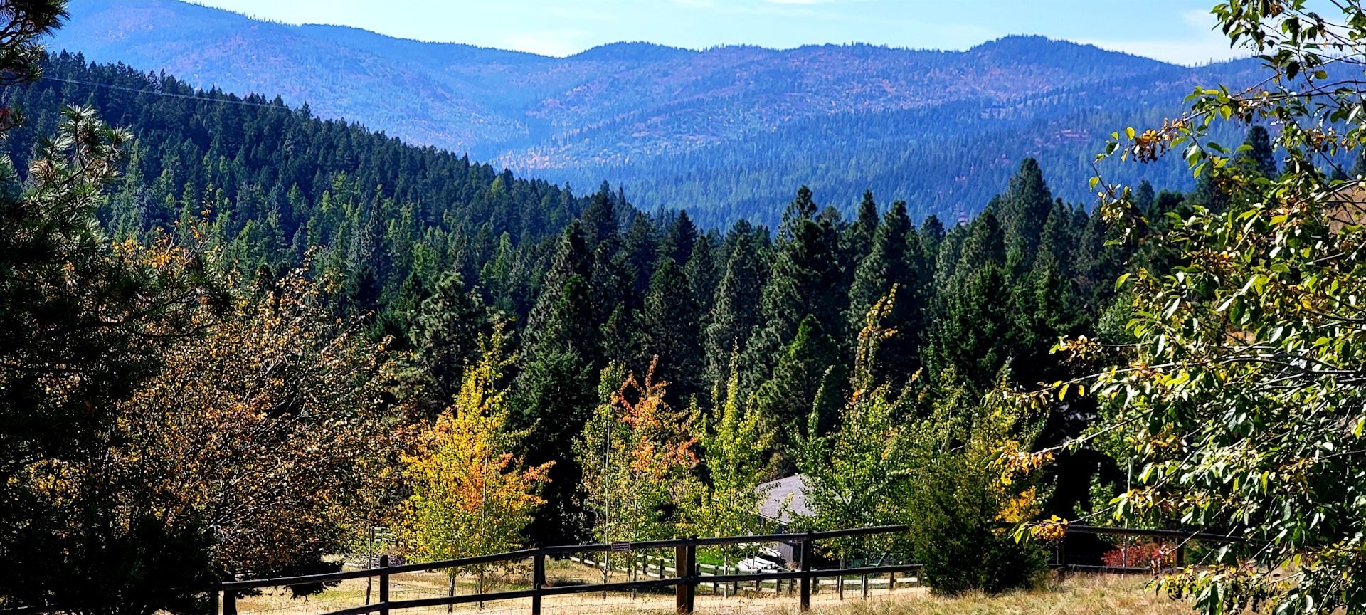 Forest and mountains in Kalispell MT