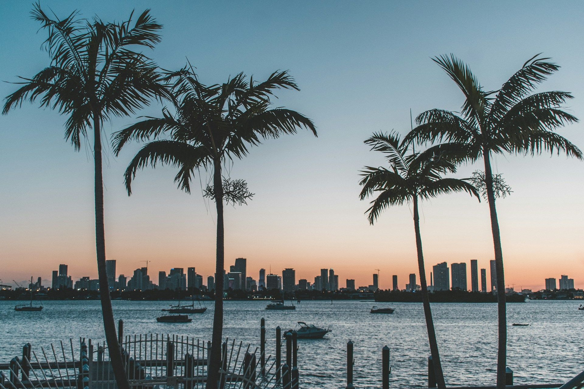 Silhouette of palm trees in Miami