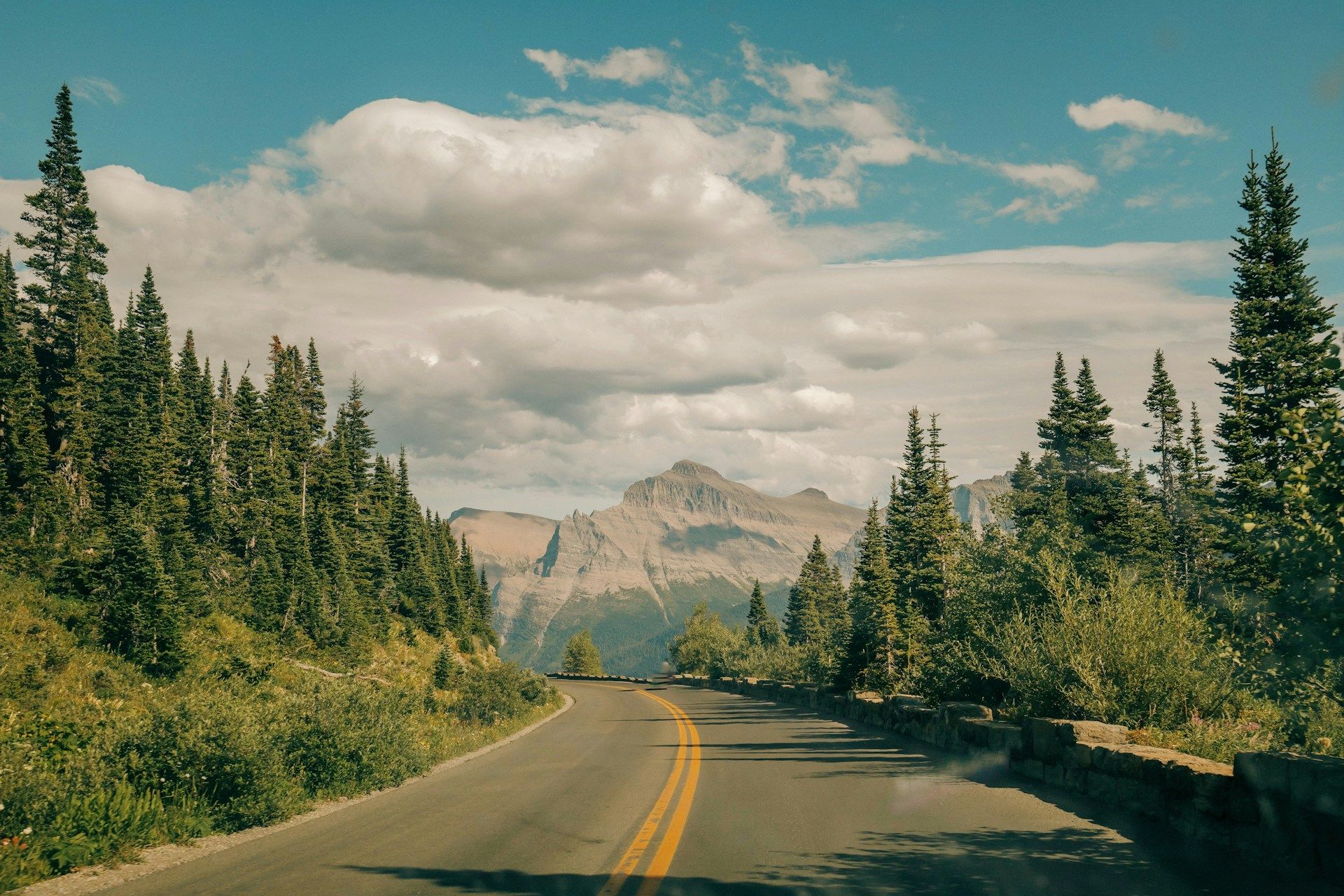 Road with trees and mountain Missoula MT