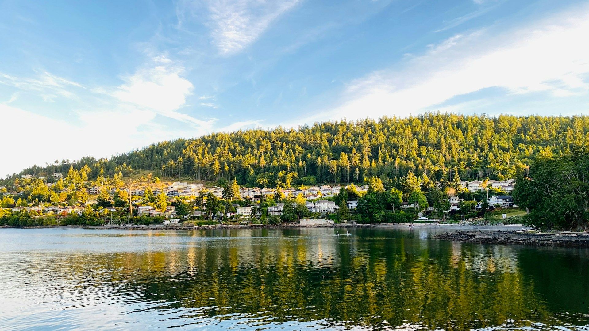 Green trees by water in Nanaimo BC