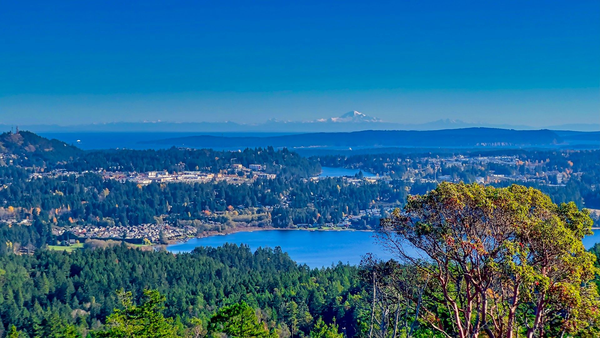 Scenic lake view in Nanaimo BC