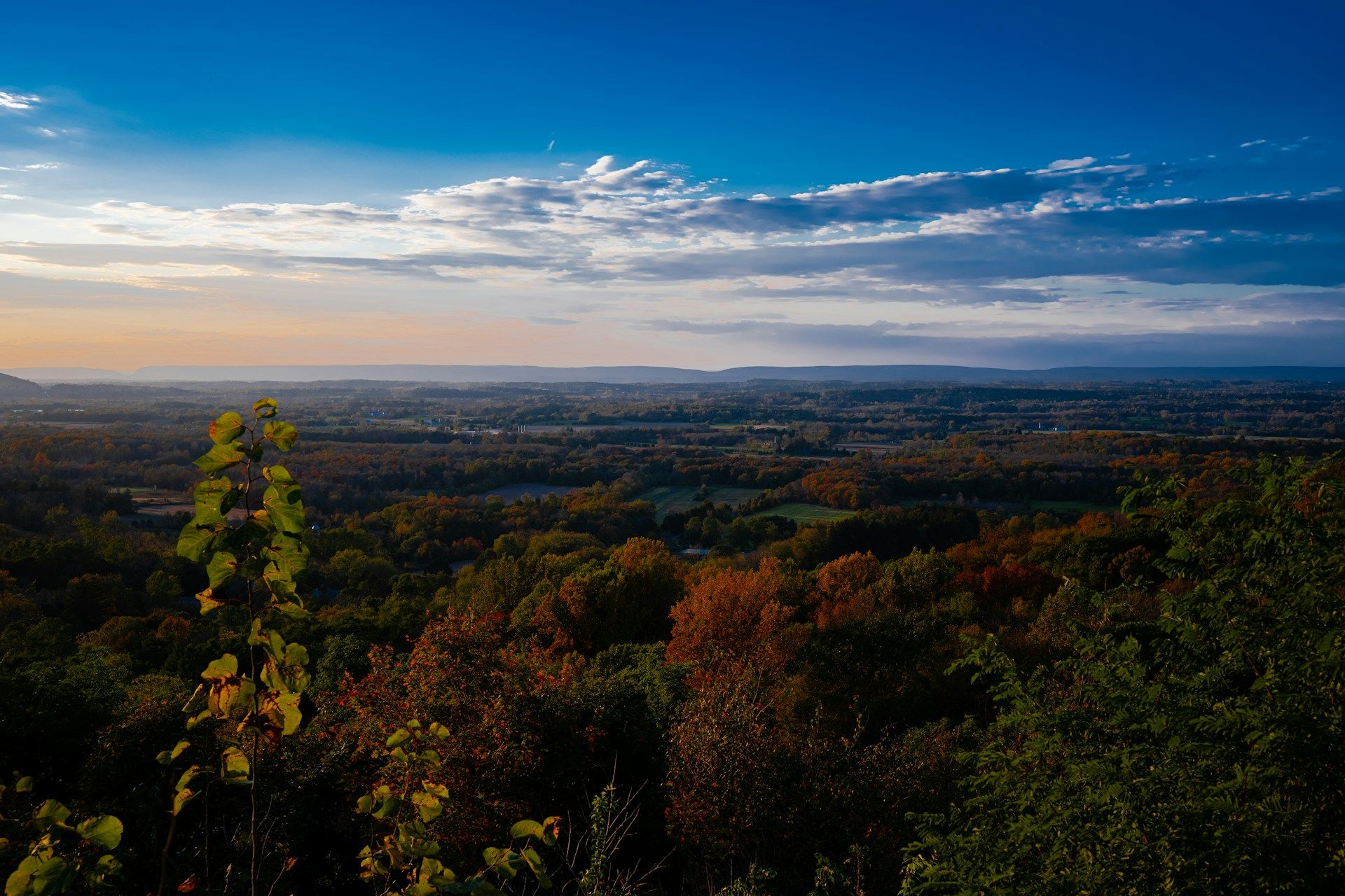 Valley view with trees Pennsylvania