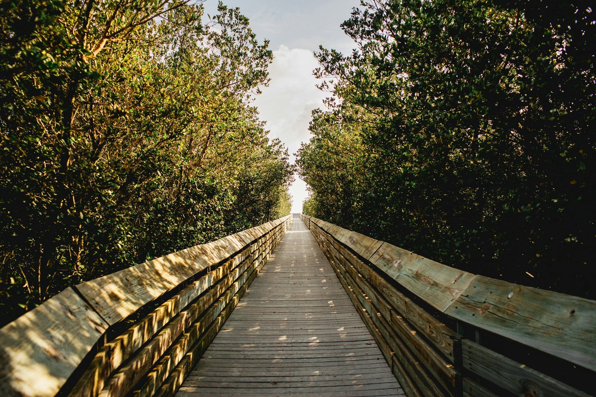 Brown wooden bridge in South Padre Island
