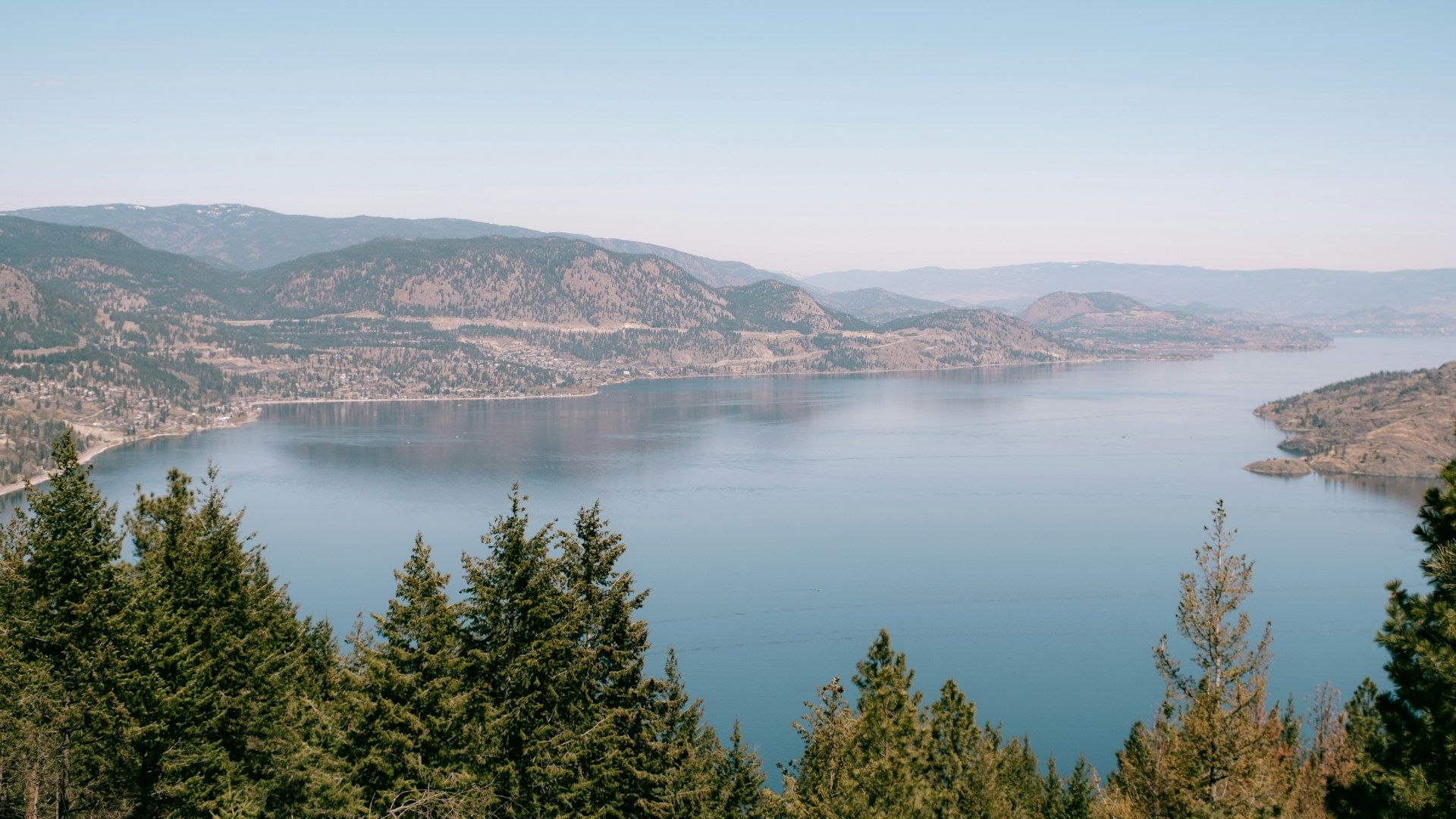 Green trees by water in Vernon BC