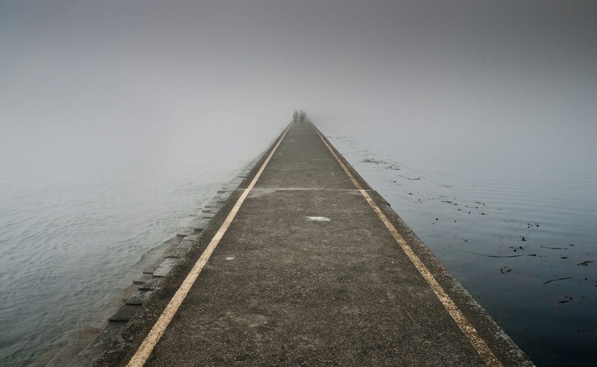 Boardwalk over water in Victoria BC