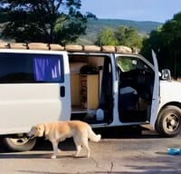 Betty - keeping your adventures Golden