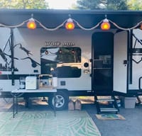 Stephen's Forest River Wolf Pup Travel Trailer