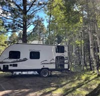 Ike's Forest River Wolf pup 16bhsbl Travel Trailer