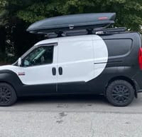 David the Dodge