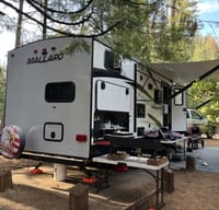 2018 Mallard 245