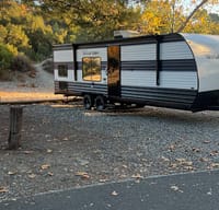 NEW 2024 29ft Light Weight Sleeps 8 Forest River