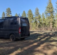 Foxy Roxy 2021 Ram Promaster "Glamping"