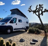 Take a spin with VANNAWT! 2021 Winnebago Solis 59P