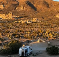 "Arby 1"- Cozy and Comfort 2021 Sprinter Campervan
