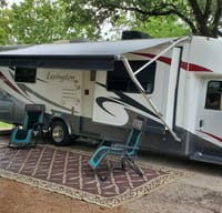 2010 Forest River RV Lexington 295DS