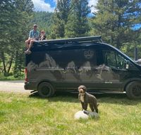 Ruby - Ford Transit Custom Vandoit LIV Model
