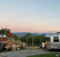 Airstream in the Vineyard