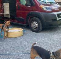 2022 Winnebago Solis Pocket - Pet friendly!