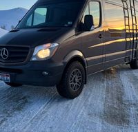 Spud the Sprinter