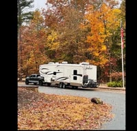 Daniel's Forest River CEDAR CREEK SILVERBACK 37BH - FIFTH WHEEL