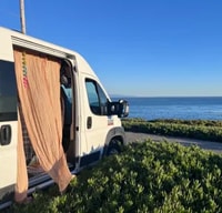 Libre in The Bay