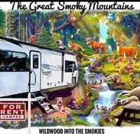 BOOK NOW #1- LEAF PEEPING FALL SPECIAL  ⭐⭐⭐⭐⭐