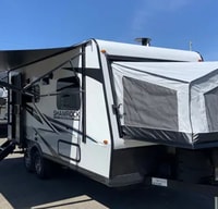 Dooley's Flagstaff Shamrock Hybrid