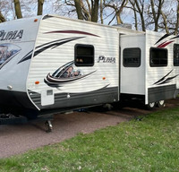 2014 Palomino Puma