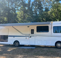 Marty- Adventure for the whole family.