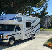 Solar-Powered, Pet Friendly, Ready-to-Go Sunshine Daydream