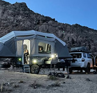 "Dale the Trail Whale" - 2020 Air Opus OP4