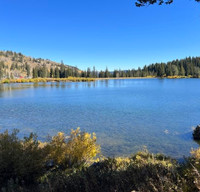 Go Glamping in this 2020 Heartland Sleeps 6-8! Pet friendly with deposit