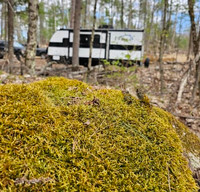 Direct from Dealer Spring 2024 - Heartland RVs Prowler Lynx