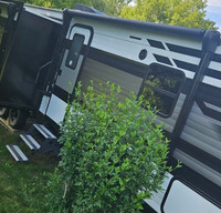 2023 Fully Stocked Bunk Room Family RV