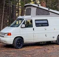 Vintage Winnebago VW Eurovan – Perfect Camper Rental Near Yosemite!