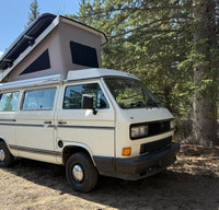 Cecile-1991 VW Vanagon Westfalia