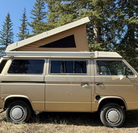 Blondie- 1985 VW Vanagon Westfalia