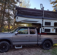 Pack-n-Play Palomino