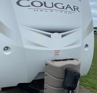 The Cougar