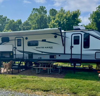 2024 Jayco White Hawk 29BH