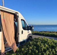 Libre in the Bay