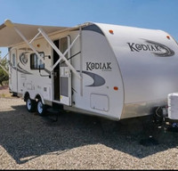 2011 Dutchmen - Aerolite 256RBGS